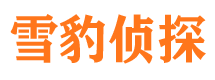 铜梁侦探公司